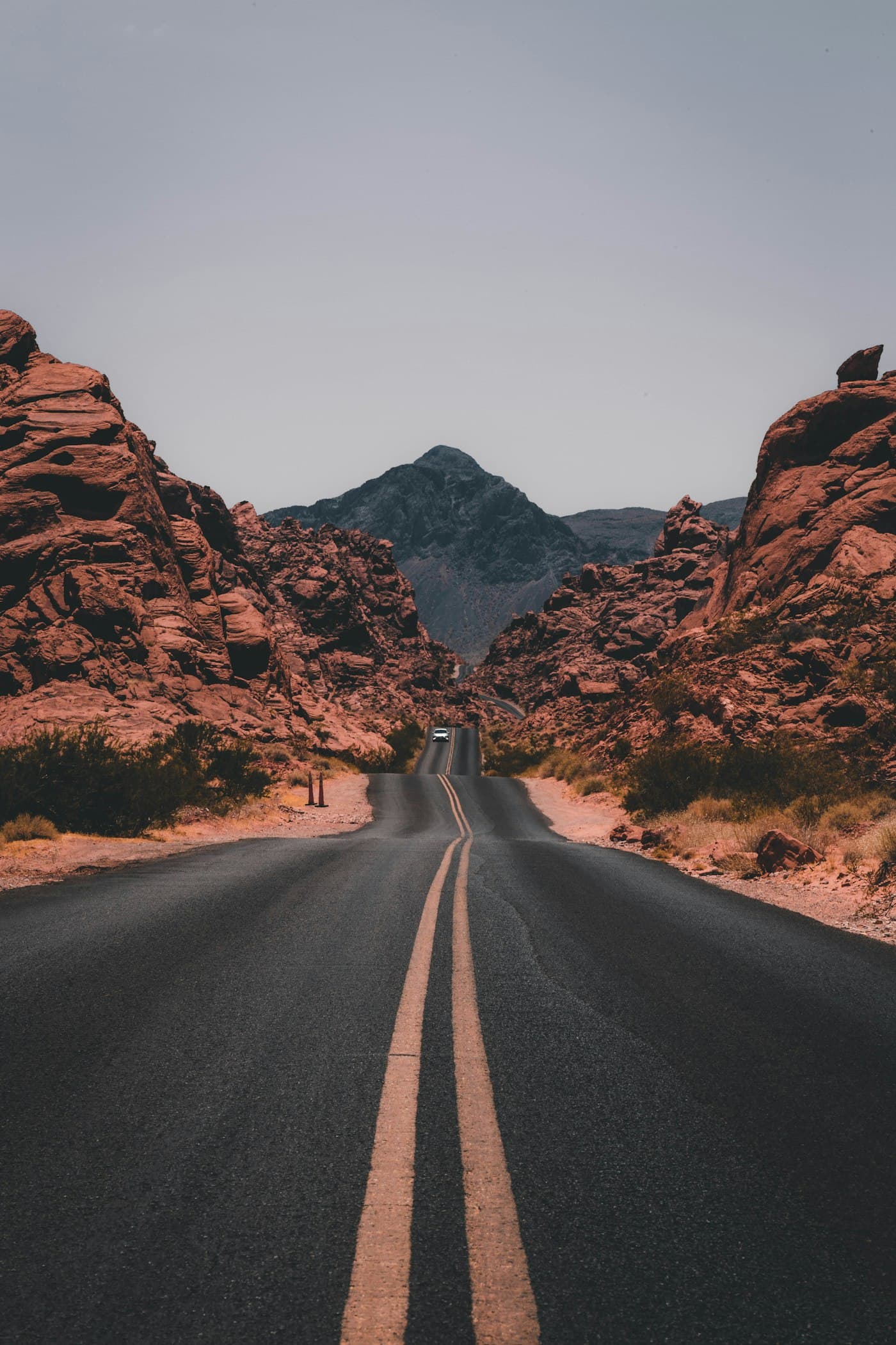 Rental Cars With Driver