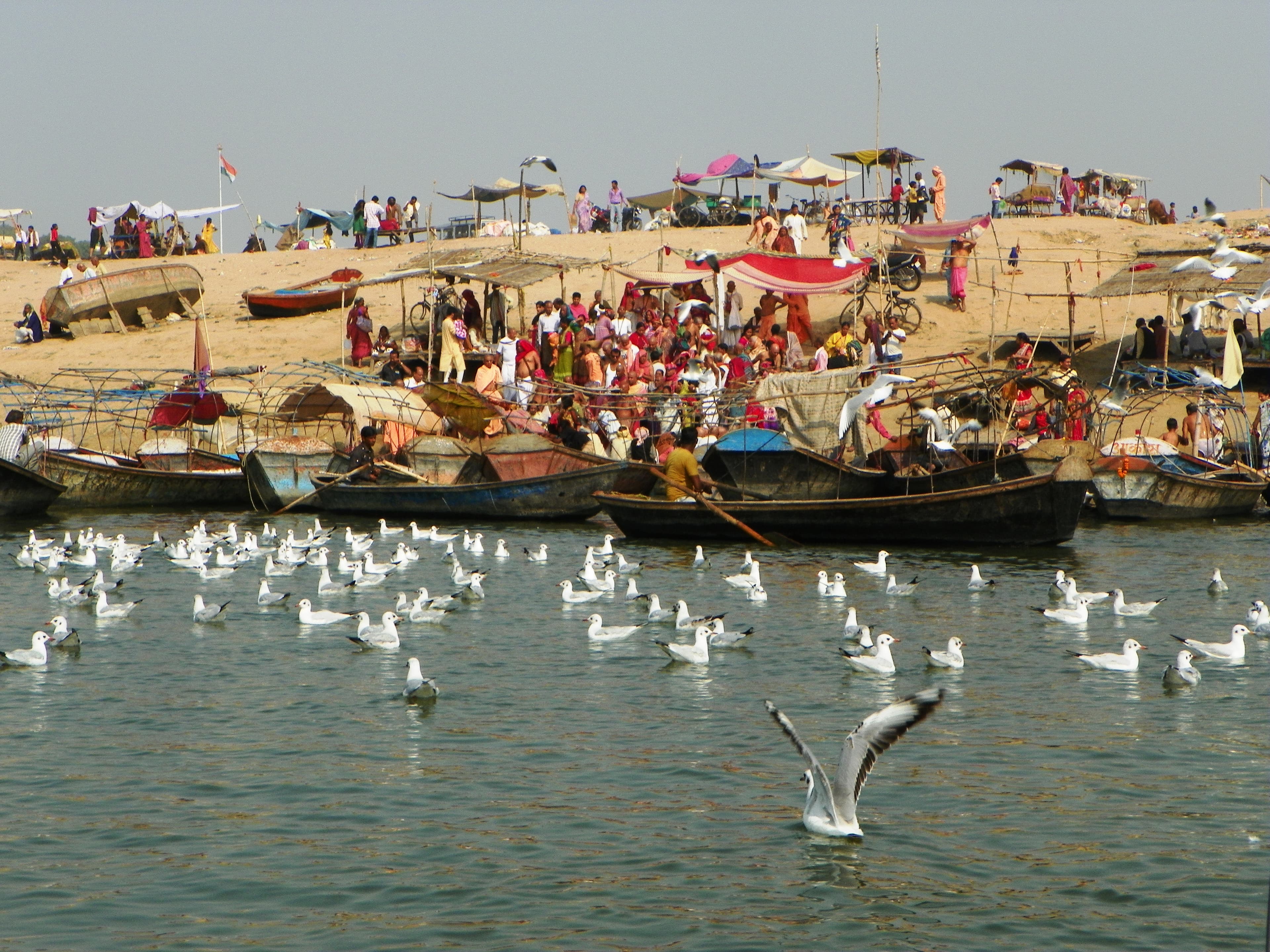 Kumbh Mela 2026: Complete Prayagraj Travel Guide
